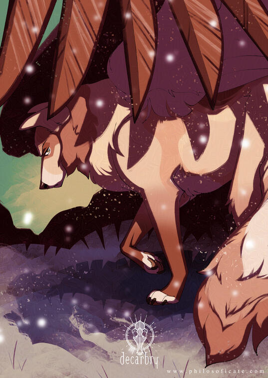 cast shadow cast shadow